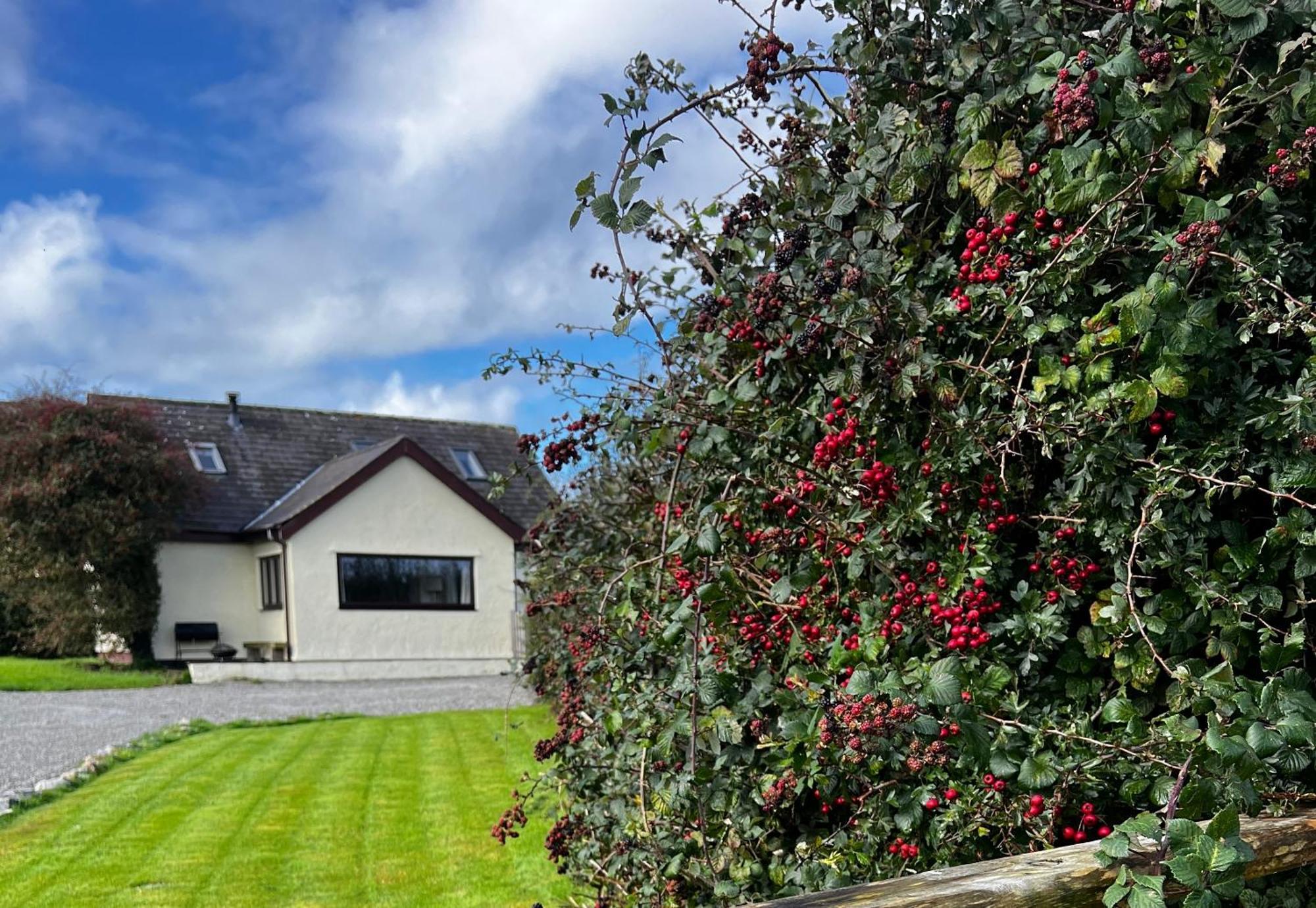 3 Bed Detached Cottage- Log Burner Mountain Views Beaumaris Exterior photo